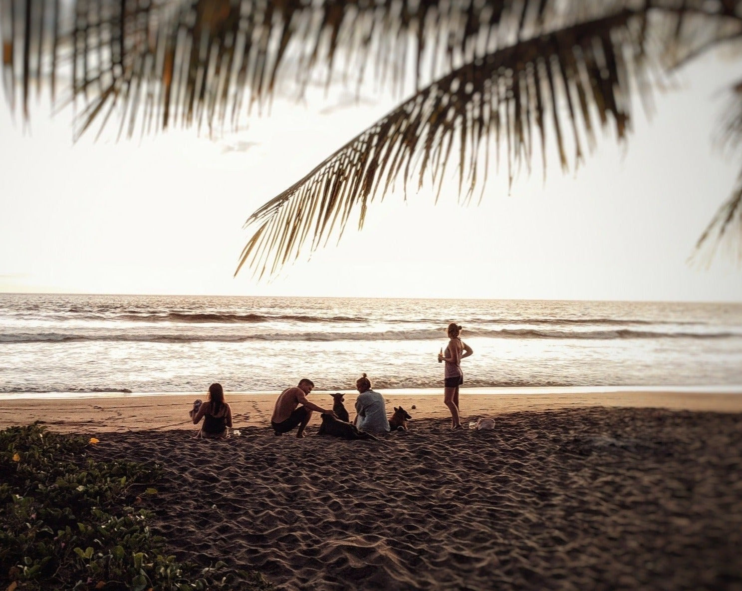 Jocelyn, Jessica and Nastassja Remaining Balances Coco Loco Eco Resort