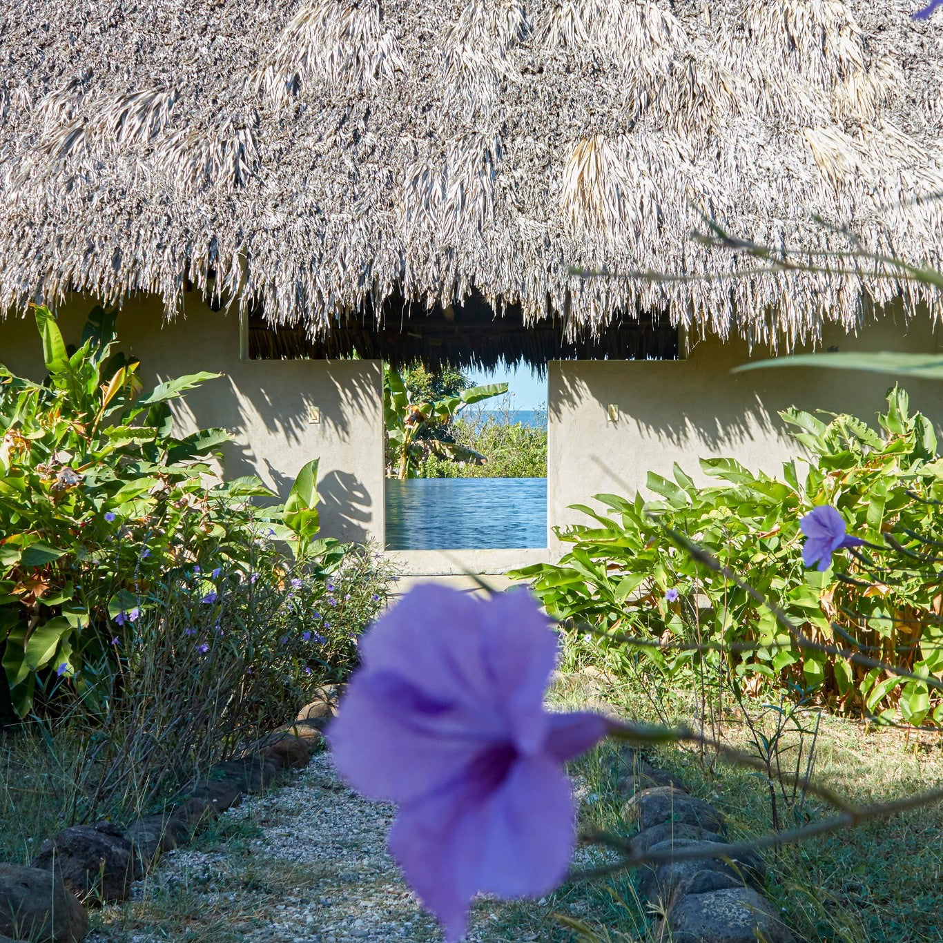 FreeFlow Yoga & Surf Retreat with Frances & Francesca (deposit)