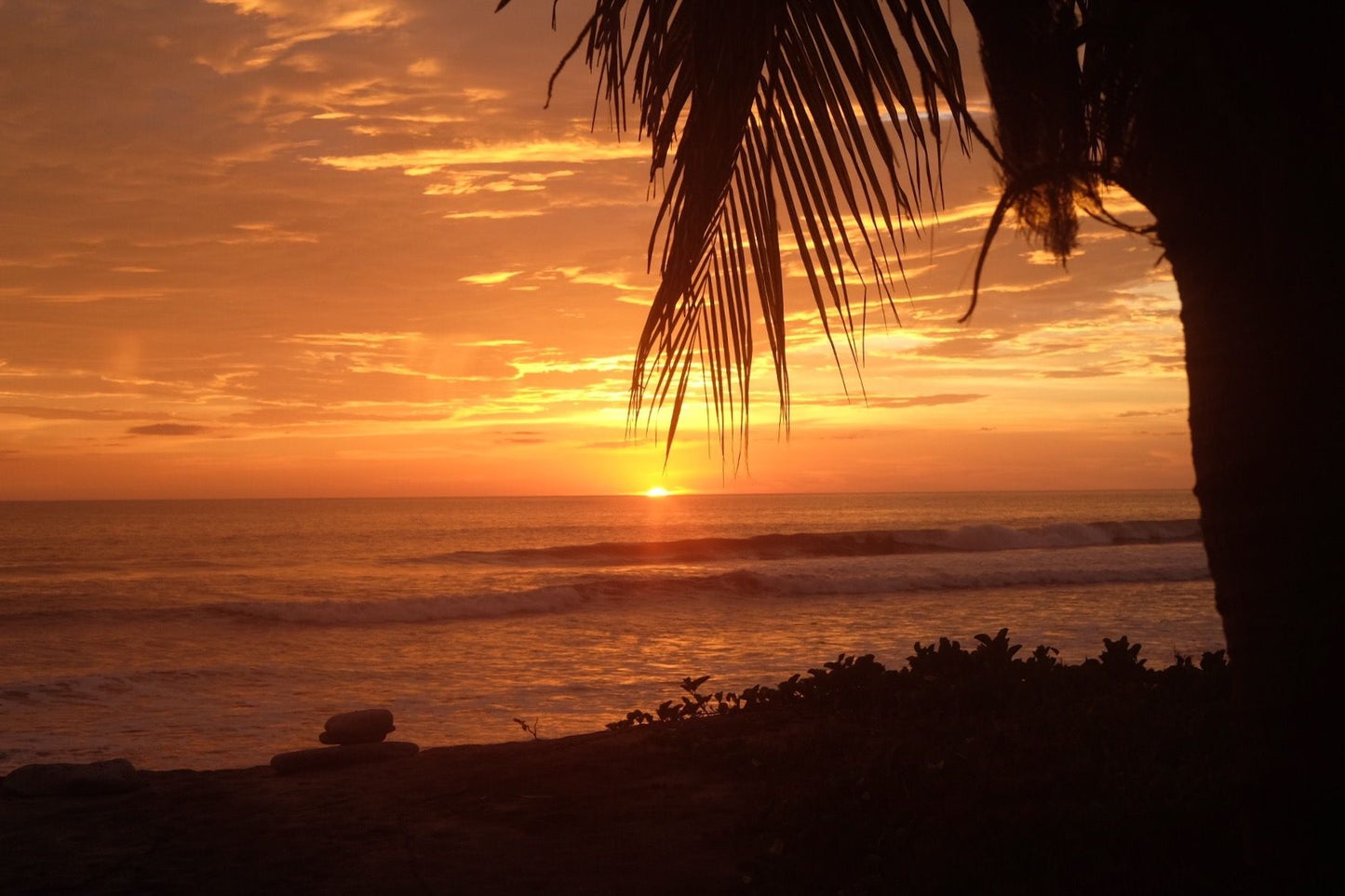 Alida's Friends Week at Coco Loco February 7-14, 2026 (50% deposit)