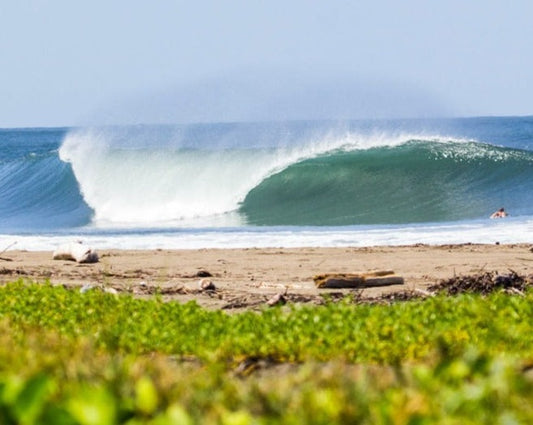 Locos Only Surf Retreat, Where Everyone is Welcome: June 1 - 8, 2024