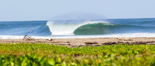 Swell Season Surf Package (Early Bird Pricing for April, May, June) inquire about specific dates