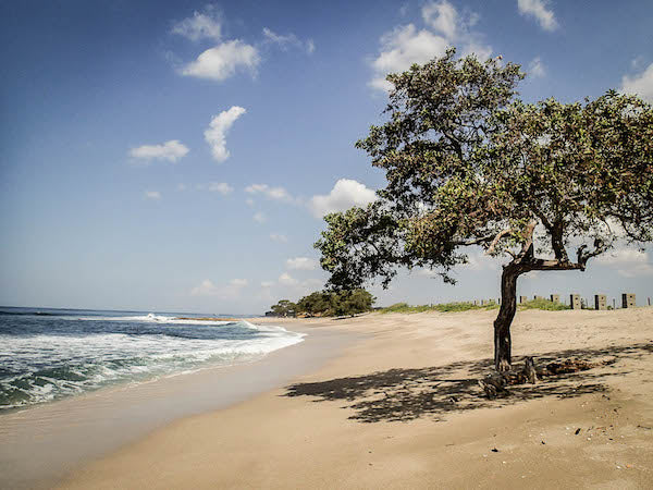 Alida's Friends Week at Coco Loco February 7-14, 2026 (50% deposit)